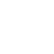 Mr. Green